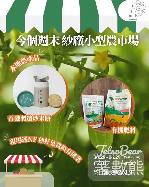 南豐紗廠 小型農市場NF種籽換領蔬菜 - Jetso Bear