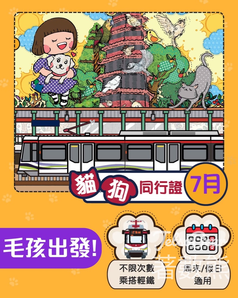 輕鐵「貓狗同行」試行計劃延至8月底 - Jetso Bear