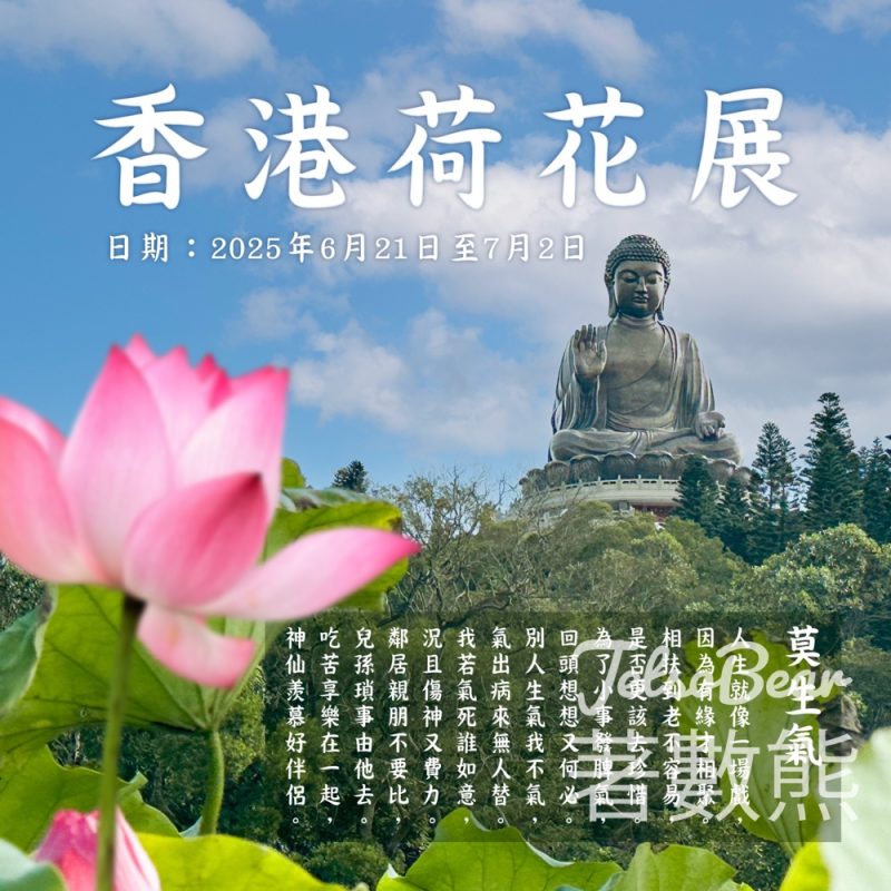 寶蓮禪寺 2025香港荷花展 - Jetso Bear