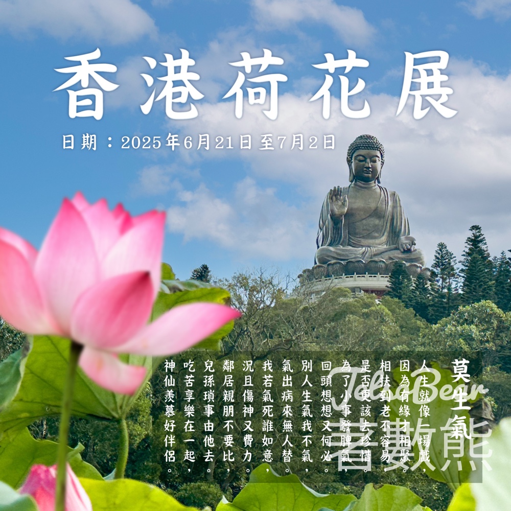 寶蓮禪寺 2025香港荷花展 - Jetso Bear