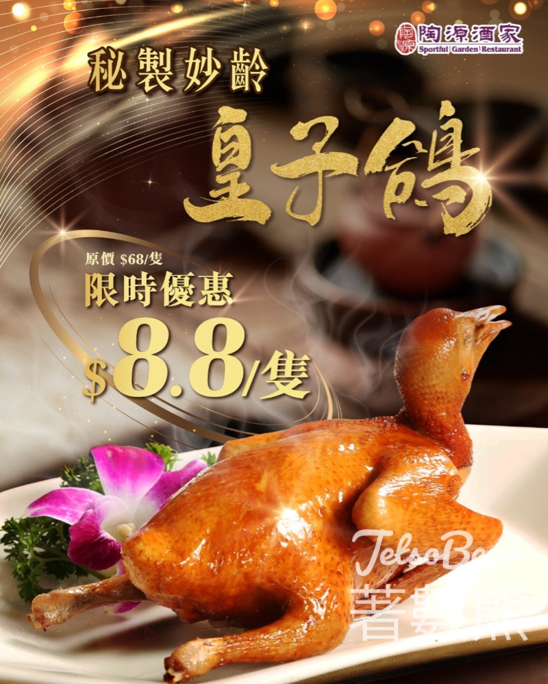 陶源日出康城店限定 秒製妙齡皇子鴿 $8.8 - Jetso Bear