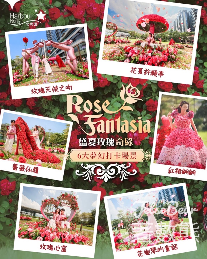 北角匯 Rose Fantasia盛夏玫瑰奇緣打卡送鮮花 - Jetso Bear