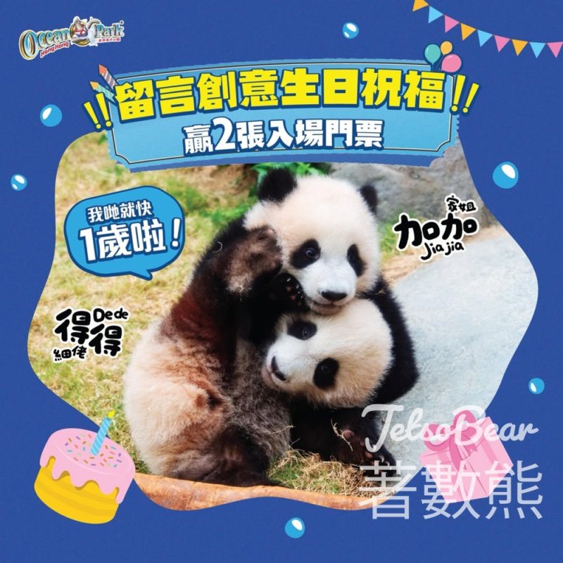 香港海洋公園 #有獎遊戲 送海洋公園入場門票 - Jetso Bear