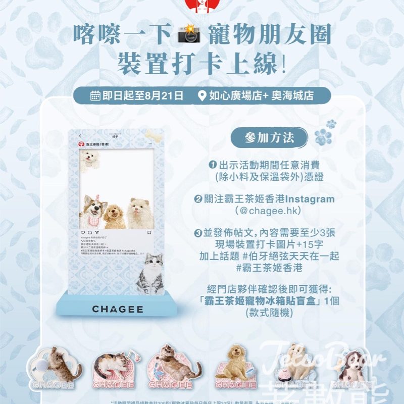 霸王茶姬 寵物朋友圈裝置打卡活動 送寵物冰箱貼盲盒 - Jetso Bear