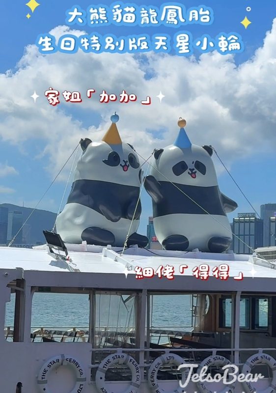大熊貓龍鳳胎生日特別版天星小輪 - Jetso Bear