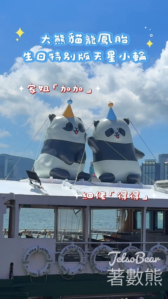 大熊貓龍鳳胎生日特別版天星小輪 - Jetso Bear