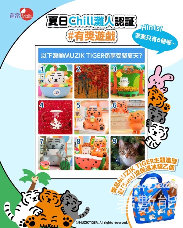 Fortune Malls #有獎遊戲 送MUZIK TIGER主題造型透「Sum」涼保溫冰袋 - Jetso Bear