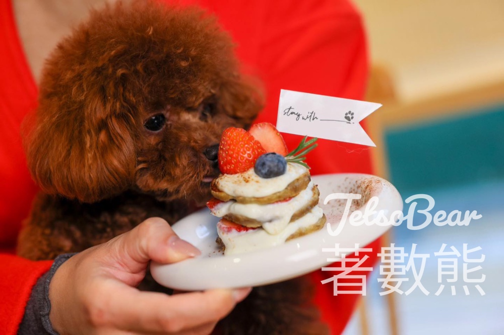 PopWalk 天晉滙 免費換領毛孩小吃 - Jetso Bear