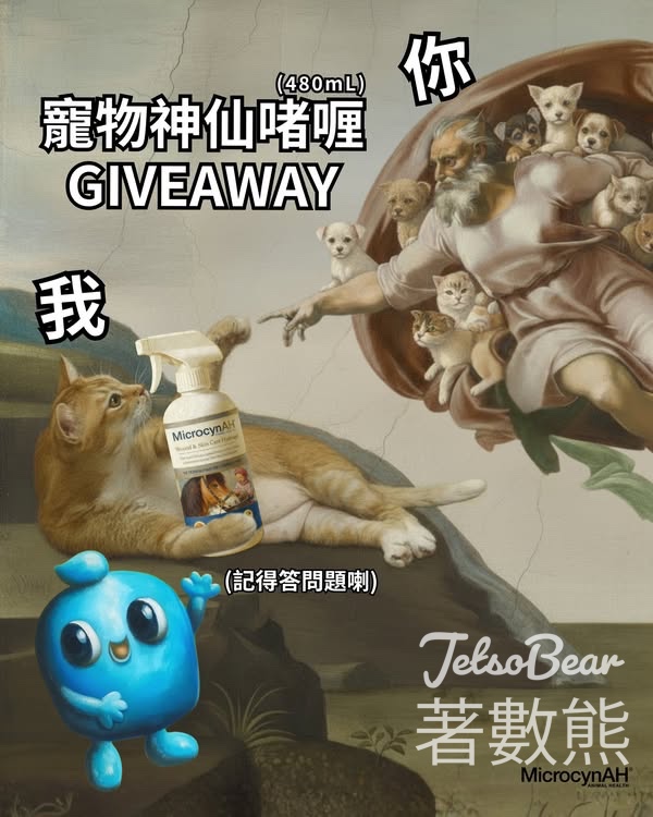 Microcynah #有獎遊戲 送麥高臣寵物神仙啫喱 - Jetso Bear