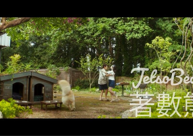 星島頭條 #有獎遊戲 送《選擇有罪》電影優先場門券 - Jetso Bear