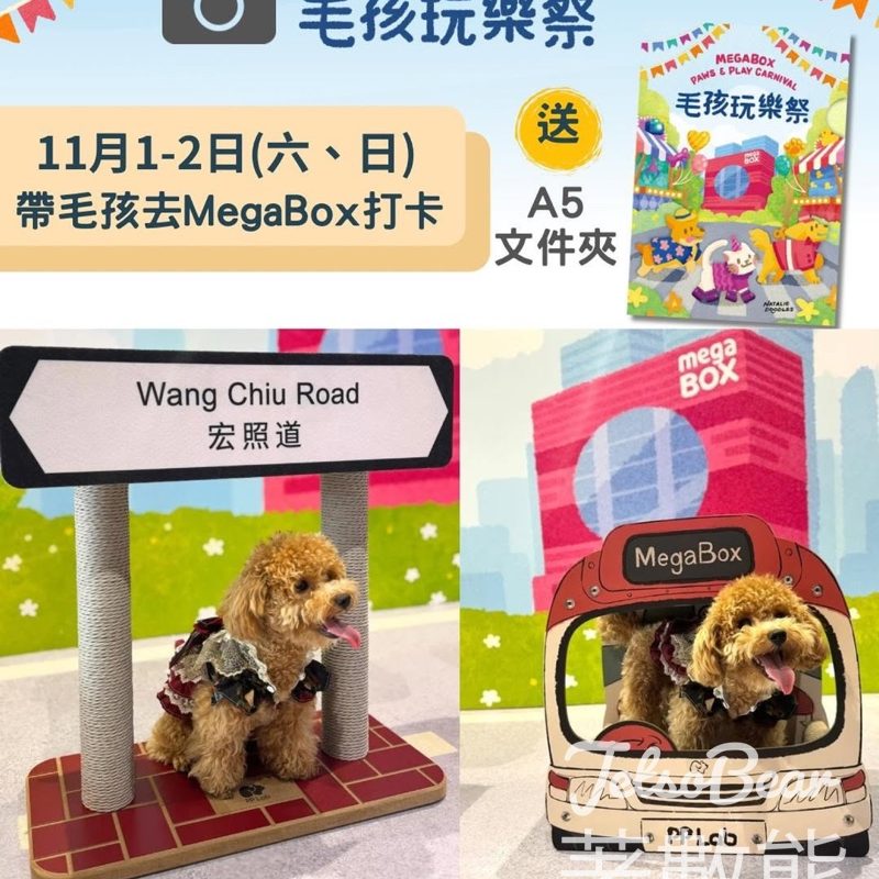 MegaBox 毛孩玩樂祭 打卡送精美 A5 Folder - Jetso Bear