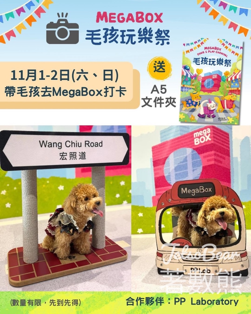 MegaBox 毛孩玩樂祭 打卡送精美 A5 Folder - Jetso Bear MegaBox 毛孩玩樂祭 打卡送精美 A5 Folder - Jetso Bear