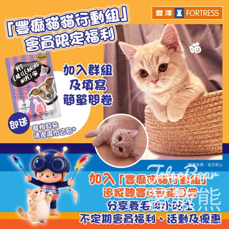豐澤豐癲貓貓行動組 免費領取 Puppy Crush寵物耳朵清潔濕巾 - Jetso Bear