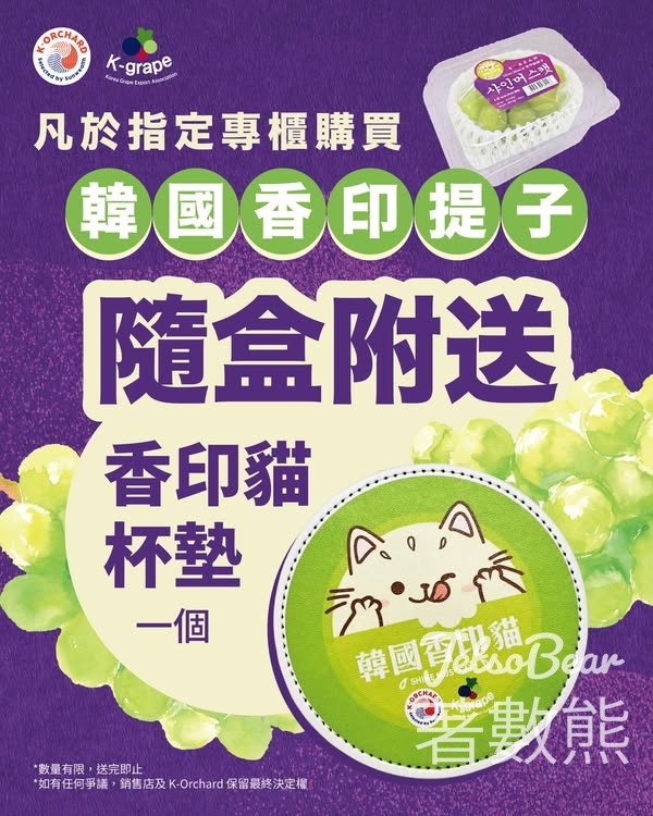 韓國香印提子 x 香印貓杯墊 - Jetso Bear