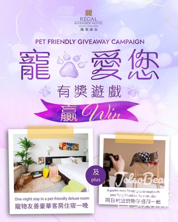 Regal Hotels 富豪酒店 #有獎遊戲 送豪華住宿及專業寵物攝影 - Jetso Bear