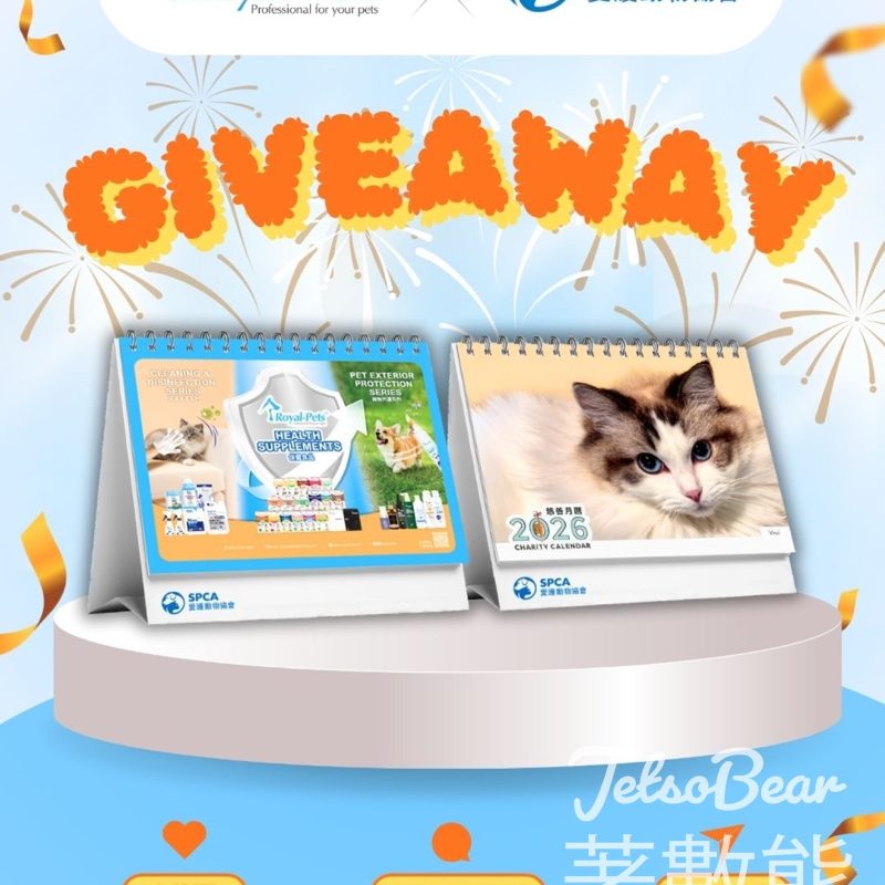 Royal-Pets #有獎遊戲 送Royal-Pets X 愛協2026慈善座枱週曆 - Jetso Bear