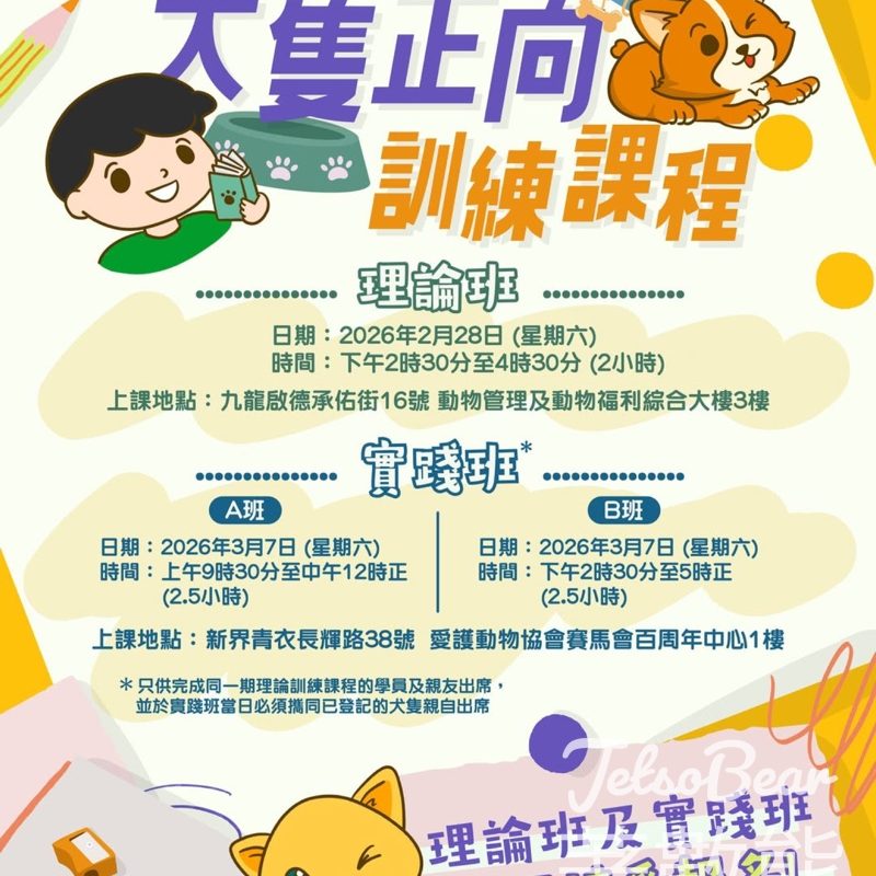 免費報名犬隻正向訓練課程 - Jetso Bear
