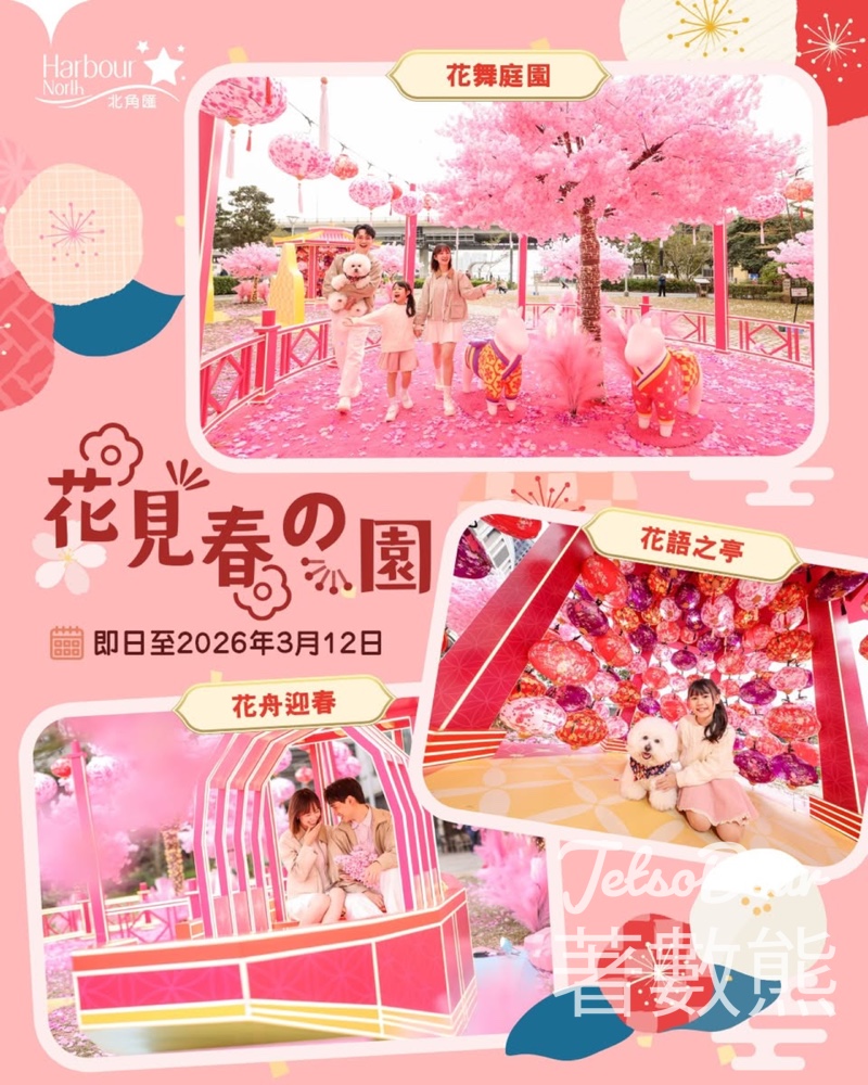 北角匯 免費派花 - Jetso Bear 北角匯 免費派花 - Jetso Bear