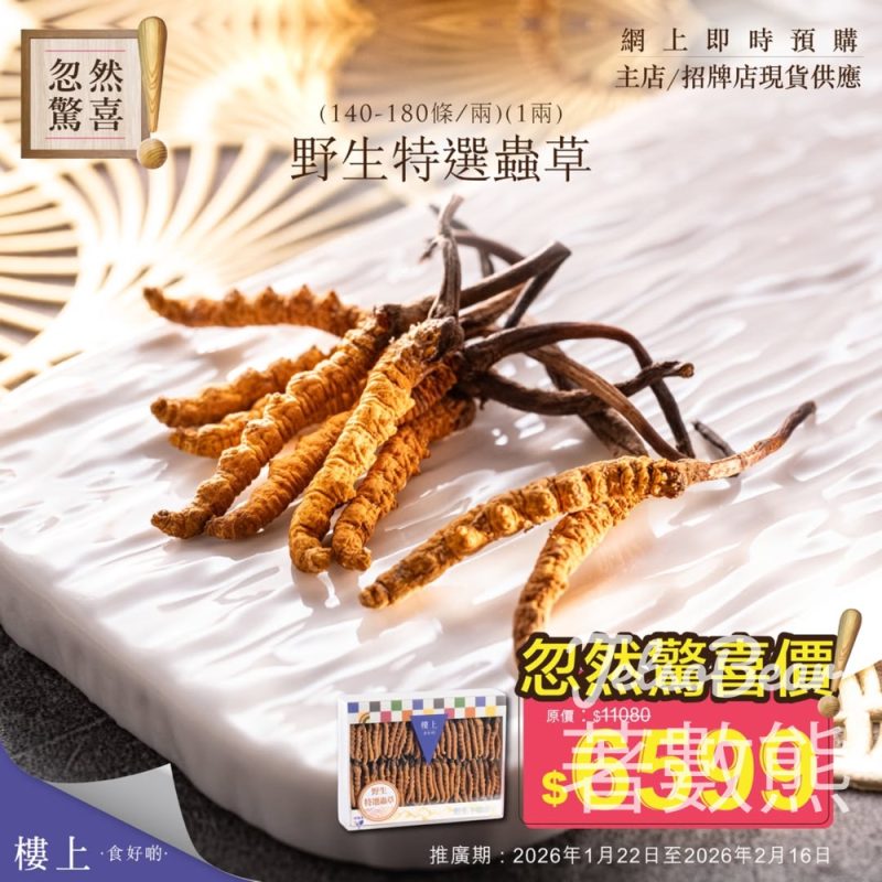 樓上野生特選蟲草忽然驚喜優惠 - Jetso Bear