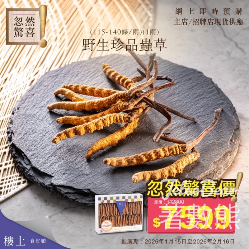 樓上野生珍品蟲草忽然驚喜優惠 - Jetso Bear