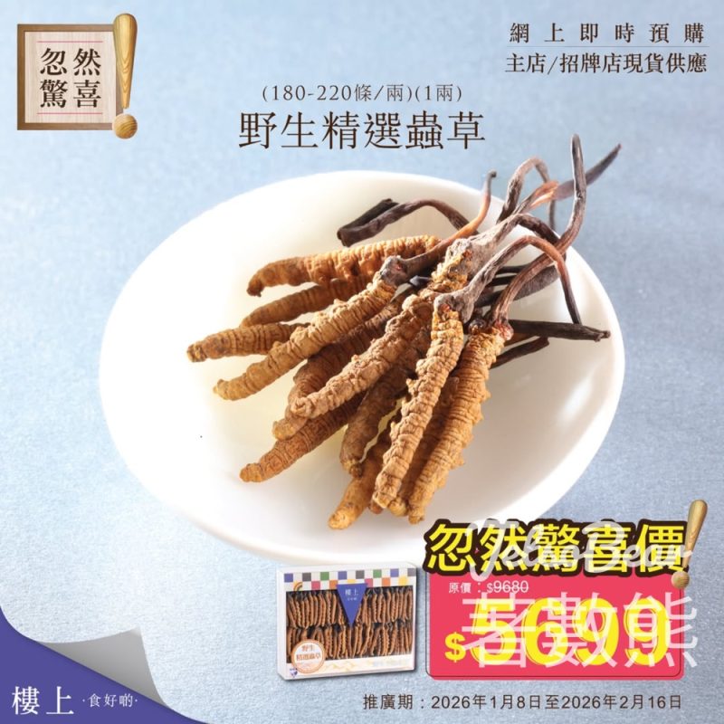 樓上野生精選蟲草忽然驚喜價 - Jetso Bear