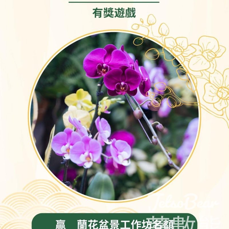 Farm Together #有獎遊戲 送蘭花盆景工作坊名額 - Jetso Bear