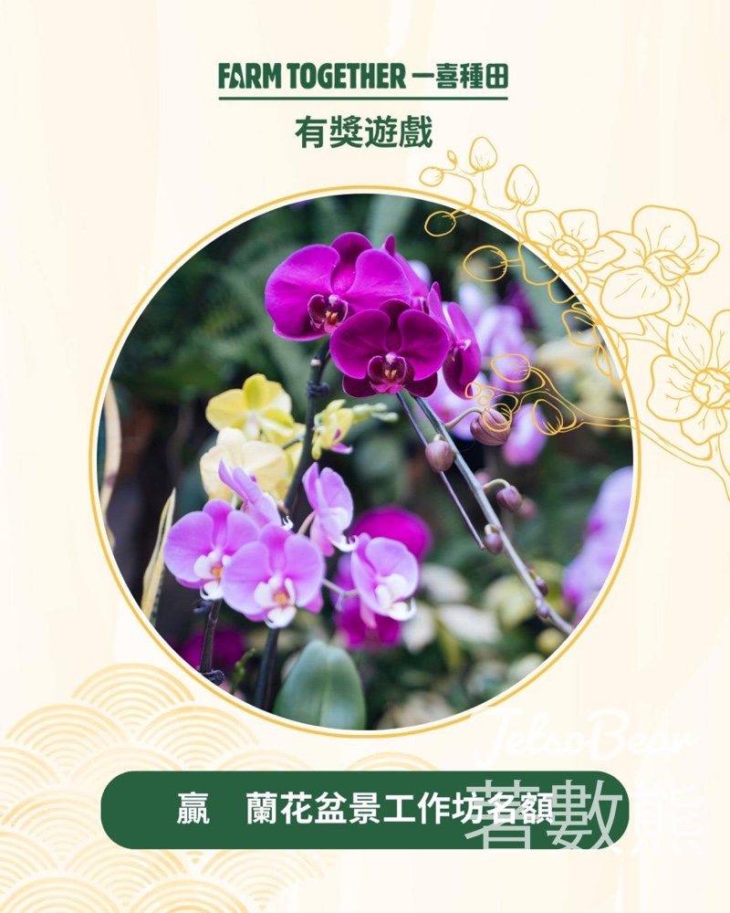 Farm Together #有獎遊戲 送蘭花盆景工作坊名額 - Jetso Bear Farm Together #有獎遊戲 送蘭花盆景工作坊名額 - Jetso Bear
