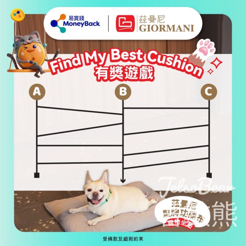 MoneyBack 易賞錢 #有獎遊戲 送GIORMANI皇牌功能布寵物坐墊 - Jetso Bear