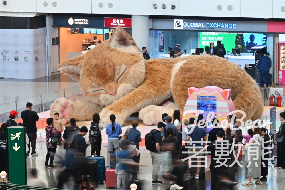 香港國際機場復活節驚喜|巨型貓咪打卡+現場音樂+舞蹈表演 - Jetso Bear 香港國際機場復活節驚喜|巨型貓咪打卡+現場音樂+舞蹈表演 - Jetso Bear