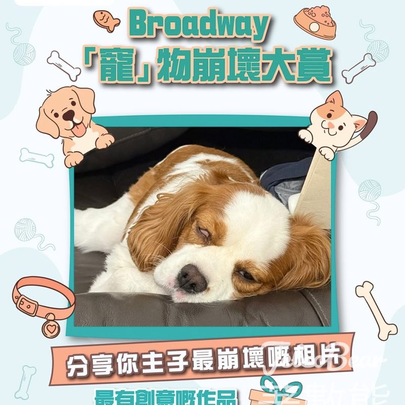 【參加即賞Adidas水樽】Broadway「寵」物崩壞大賞！分享主子崩壞照嬴走背囊・6.10截止 - Jetso Bear