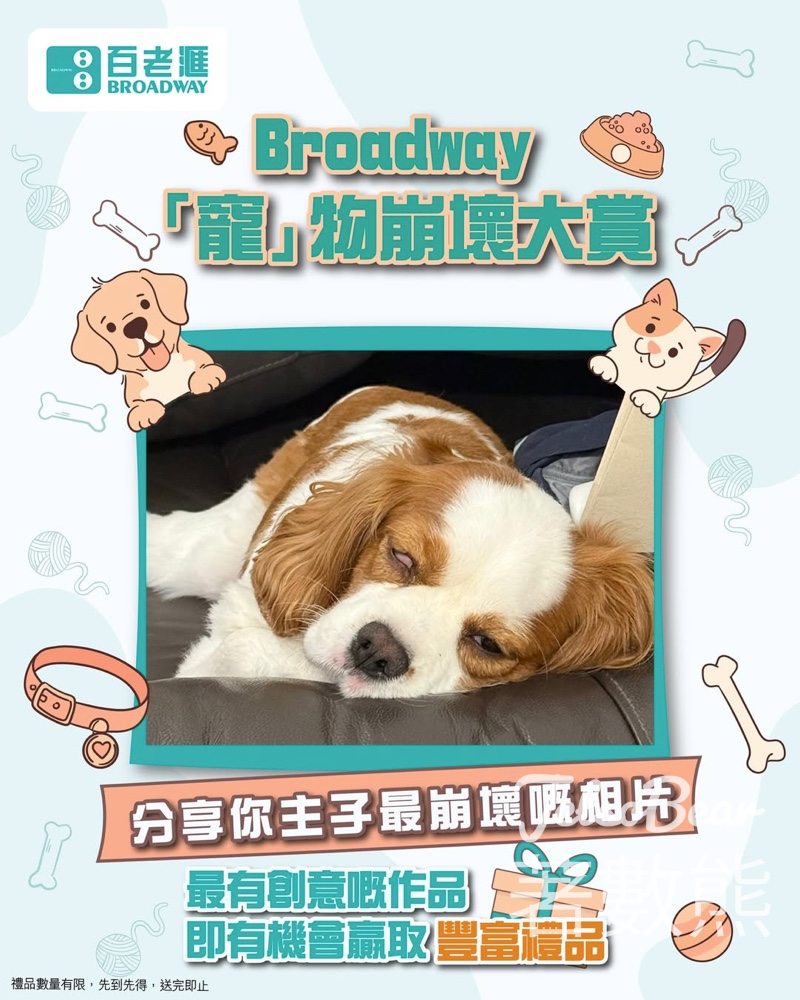 【參加即賞Adidas水樽】Broadway「寵」物崩壞大賞！分享主子崩壞照嬴走背囊・6.10截止 - Jetso Bear